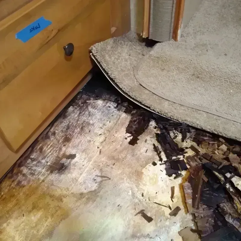 Wood Floor Water Damage in Meridian, TX